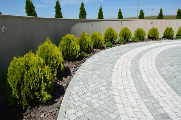 Best Local Driveway Pavers  in Dale, PA